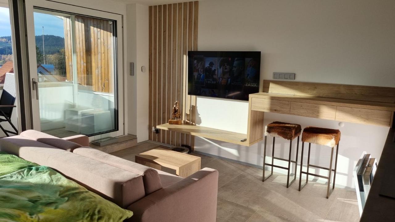 Apartment No. 29 - Riviera Lipno Nad Vltavou 511 エクステリア 写真