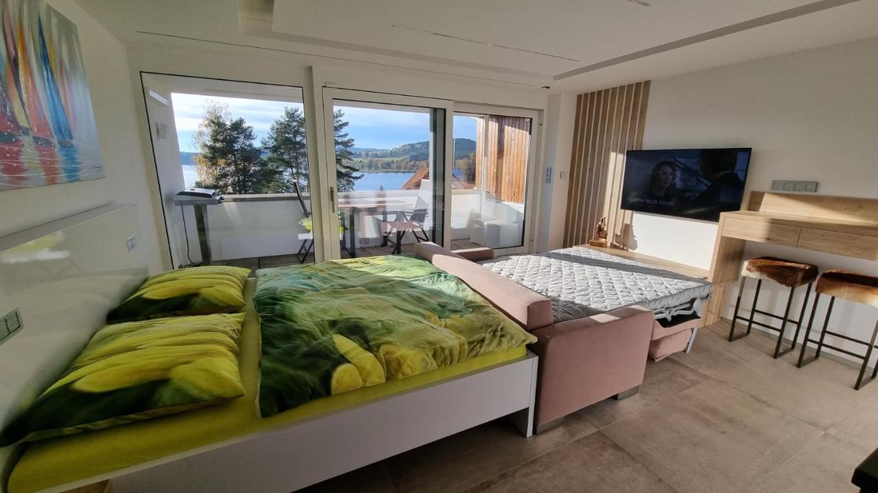 Apartment No. 29 - Riviera Lipno Nad Vltavou 511 エクステリア 写真