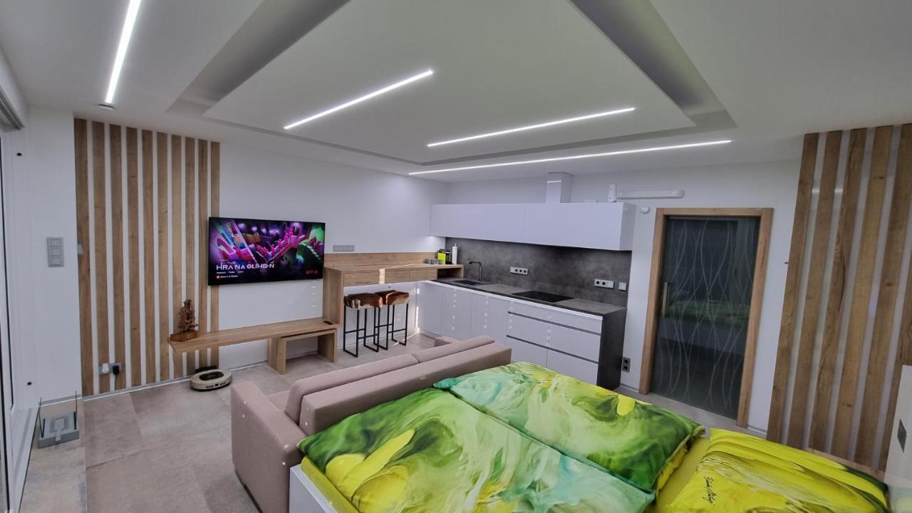 Apartment No. 29 - Riviera Lipno Nad Vltavou 511 エクステリア 写真