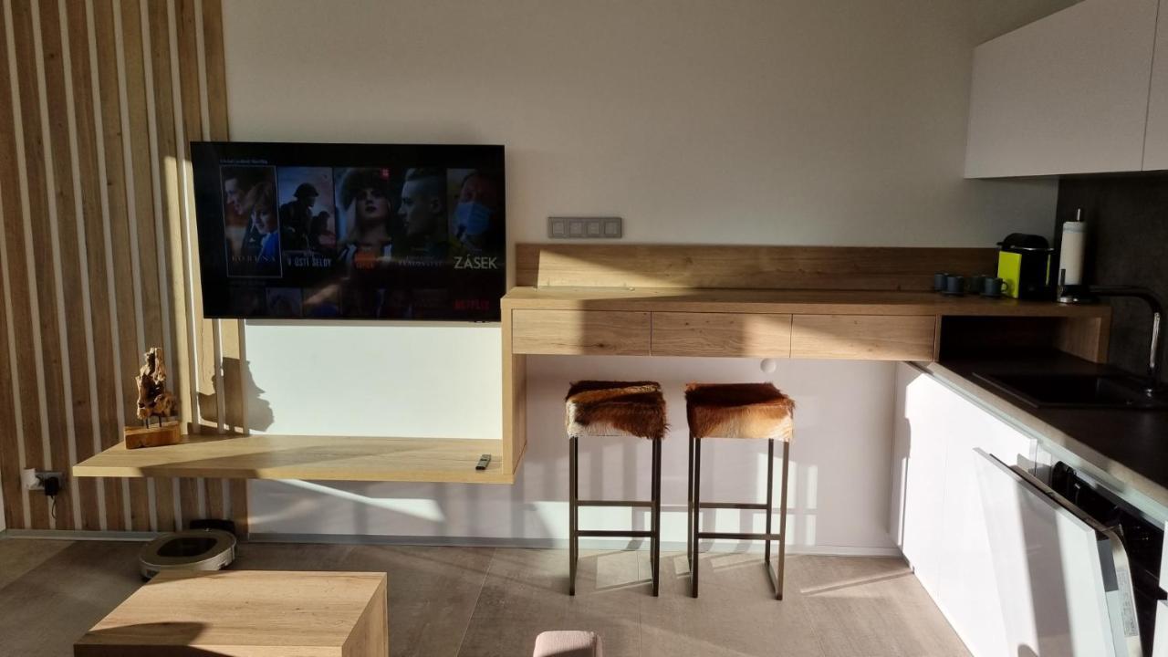 Apartment No. 29 - Riviera Lipno Nad Vltavou 511 エクステリア 写真