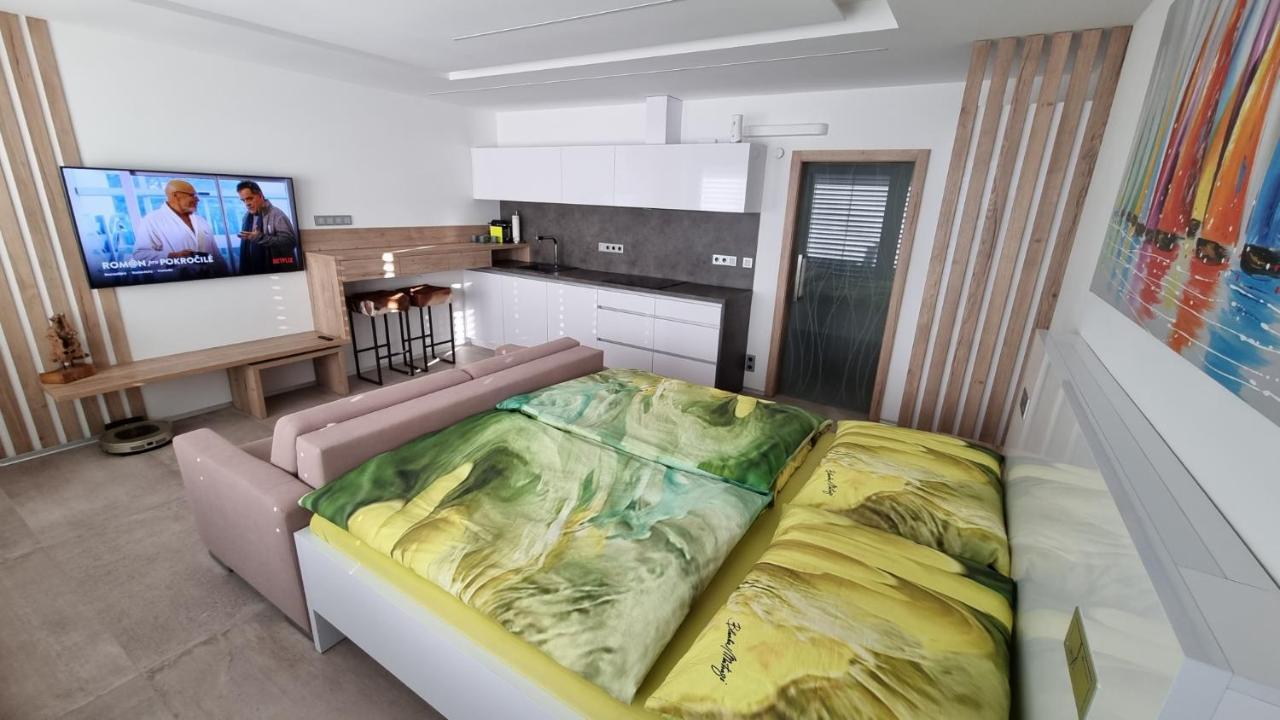 Apartment No. 29 - Riviera Lipno Nad Vltavou 511 エクステリア 写真